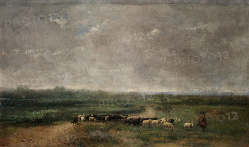 A flock, c1900. Creator: Eduardo de Alba y Massa.