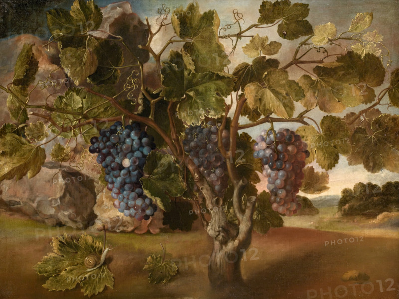Landscape with a Vine, 1645. Creator: Tomás Hiepes.