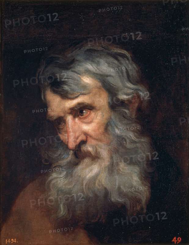 The Head of an Old Man, 1618-1620. Creator: Anthony van Dyck.
