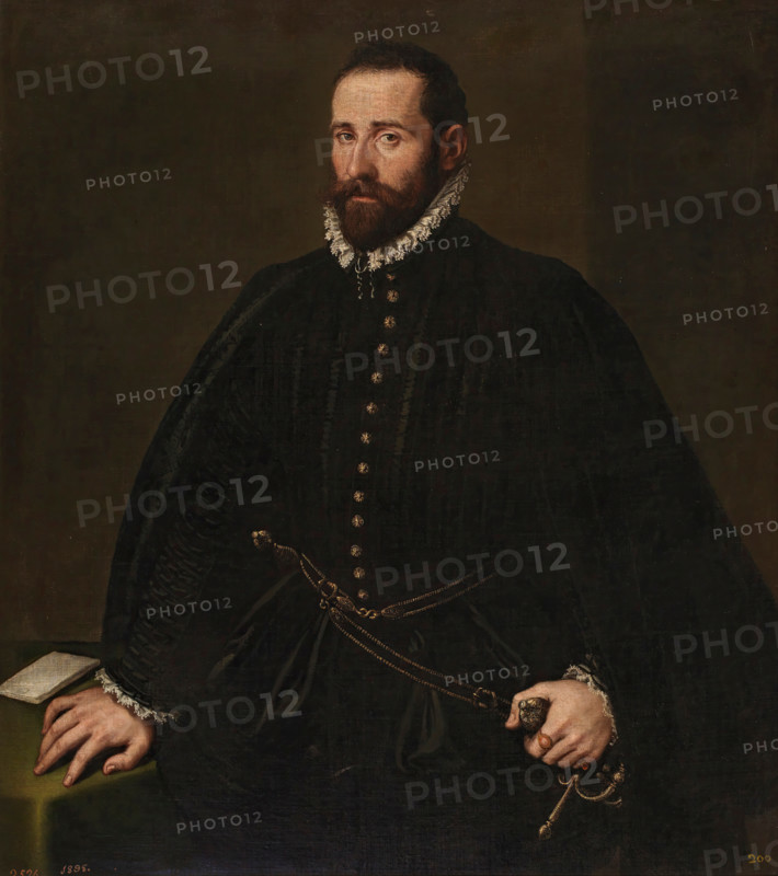 Portrait of a Gentleman, 16th century. Creator: Jacopo Tintoretto.
