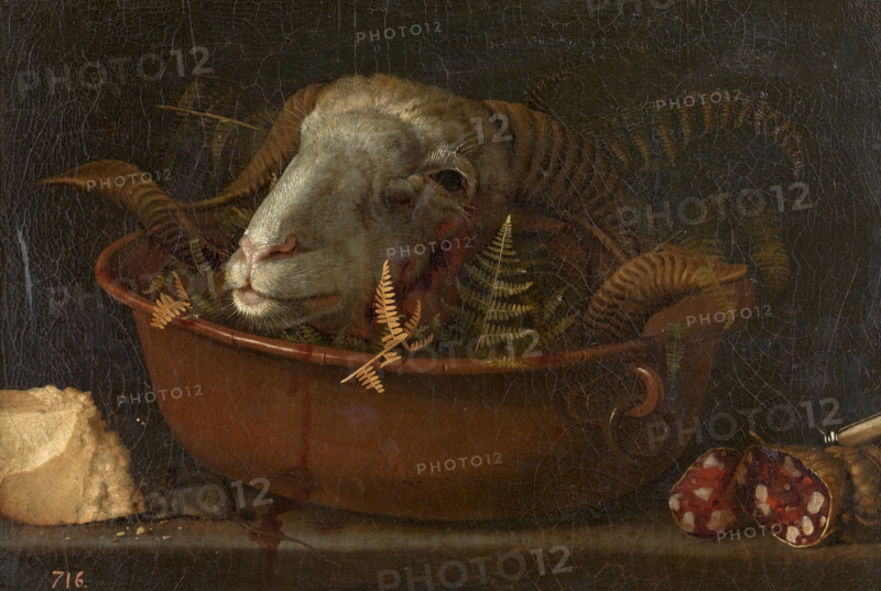 Still life with ram head, 17th century. Creator: Giovanni Benedetto Castiglione.