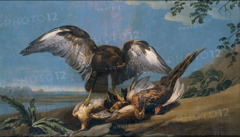 Kite with a Group of dead Birds, 1774. Creator: Jose del Castillo.