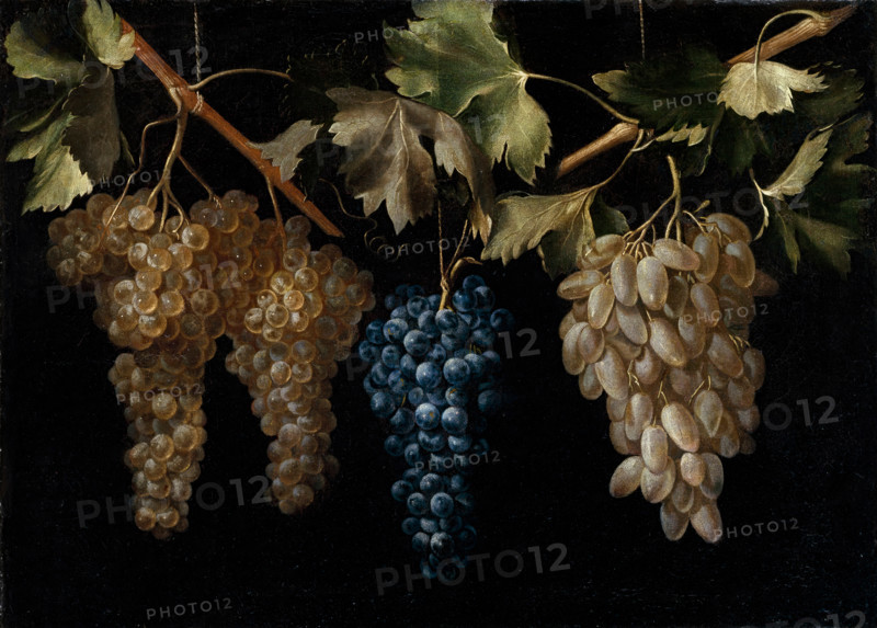Four Bunches of hanging Grapes, c1636. Creator: Juan Fernandez el Labrador.