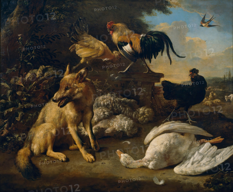 Still Life with Animals, between 1680 and 1690. Creator: Melchior d'Hondecoeter.