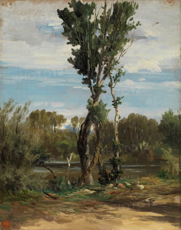 Lake of the Casa de Campo, c1872. Creator: Carlos de Haes.