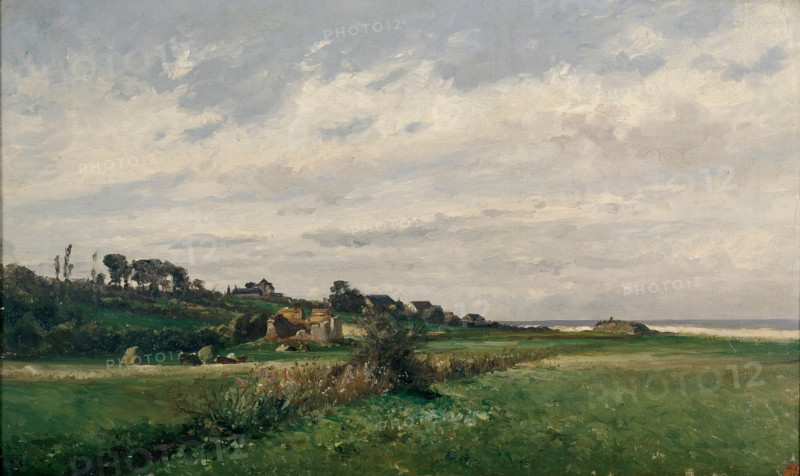 Meadows, (Villerville), c1877. Creator: Carlos de Haes.