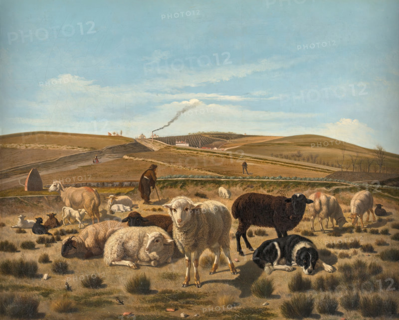 Sheep Resting in a Rush Bed, Outside the Atocha Gate, 1860. Creator: Mariano de la Roca y Delgado.