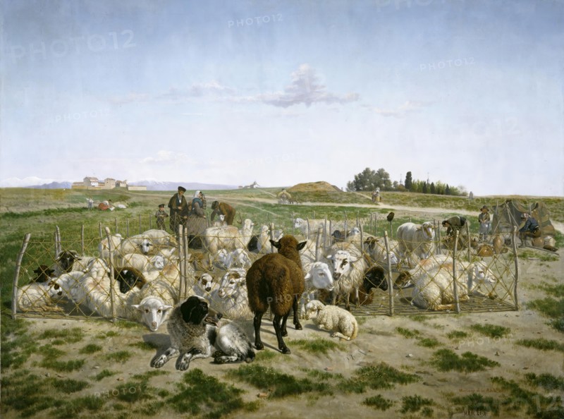 A sheep pen near the Puerta de Bilbao in Madrid, 1862. Creator: Mariano de la Roca y Delgado.