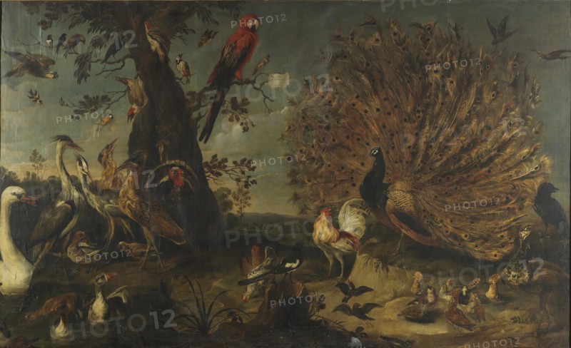 Concert of Birds, between 1629 and 1630. Creator: Frans Snyders.