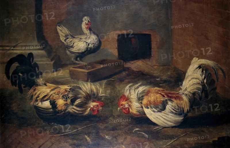 Chicken coop, between 1600 and 1657. Creator: Frans Snyders.