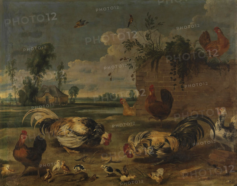 Cock fight, between 1600 and 1657. Creator: Frans Snyders.