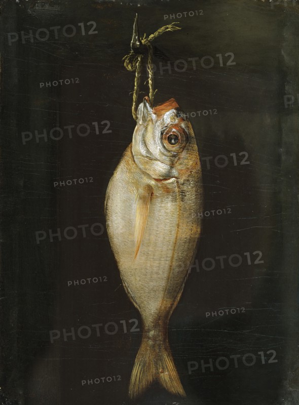 Bream, late 18th century. Creator: Bartolome Montalvo.