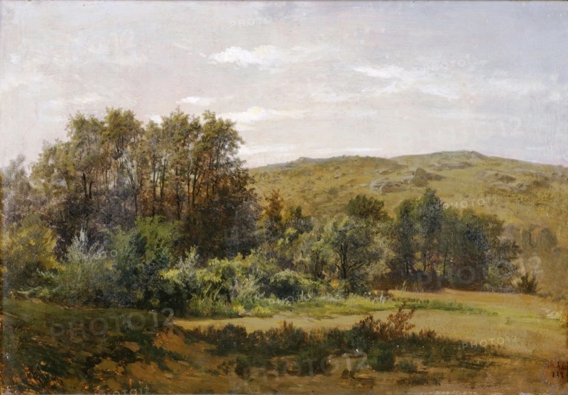 Grove near the Piedra Monastery, c1856. Creator: Carlos de Haes.