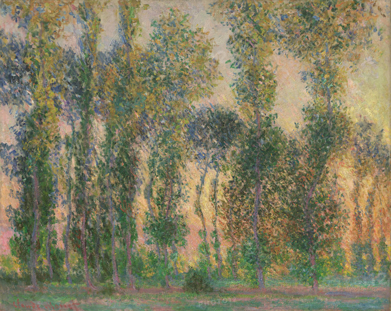 Poplars at Giverny, 1887. Creator: Claude Monet.