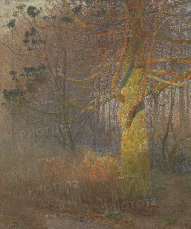 Tree in the Sun, 1900. Creator: Emile Claus.