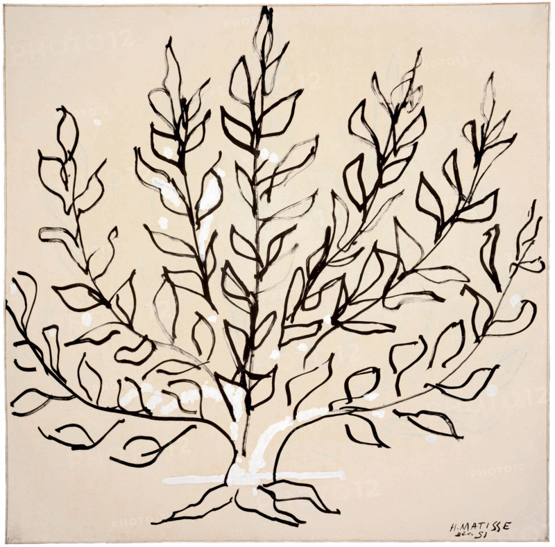 Le Buisson (The Bush), 1951. Creator: Henri Matisse.