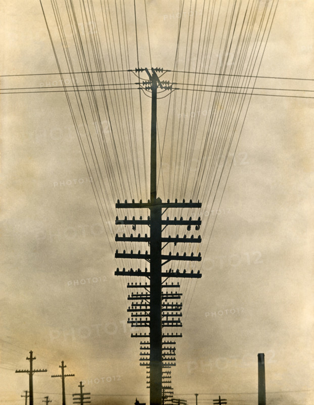 Telephone Wires, c1925-1928. Creator: Tina Modotti.