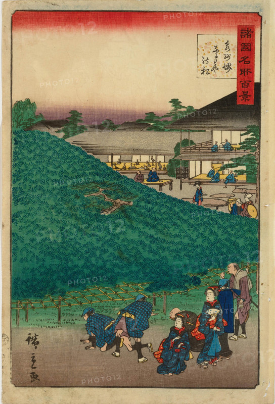 The Naniwaya Pine Tree at Sakai in Izumi Province (One Hundred Famous Views in the Various... 1859. Creator: Utagawa Hiroshige II.