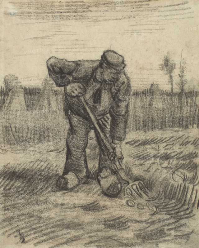 Peasant Digging up Potatoes, 1885. Creator: Vincent van Gogh.