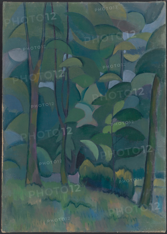 Forest, 1908-1910. Creator: Vladimir Baranoff-Rossine.