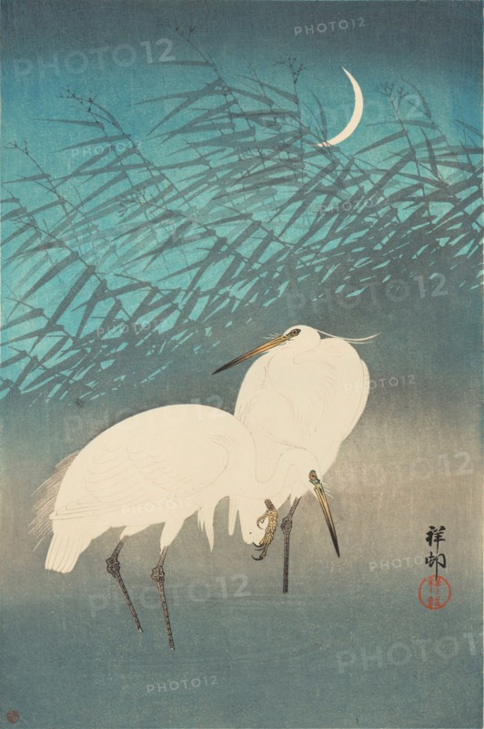 Herons and Reeds under a Crescent Moon, 1926. Creator: Ohara, Koson (1877-1945).