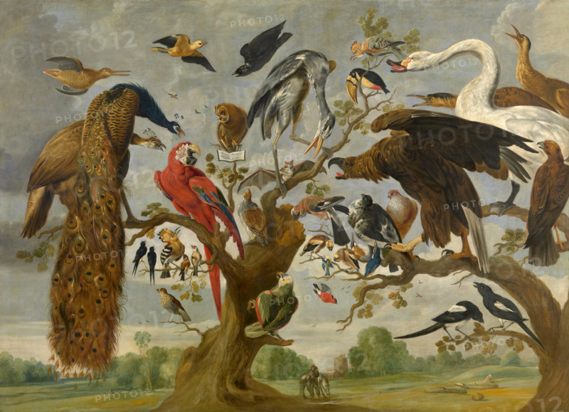 Bird's Concert, Betveen 1650 and 1670. Creator: Vos, Pauwel, de (1596-1678).