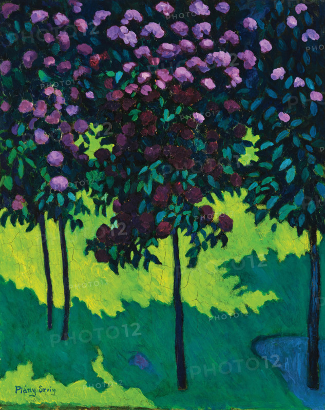 Untitled. Creator: Plány, Ervin (1885-1916).