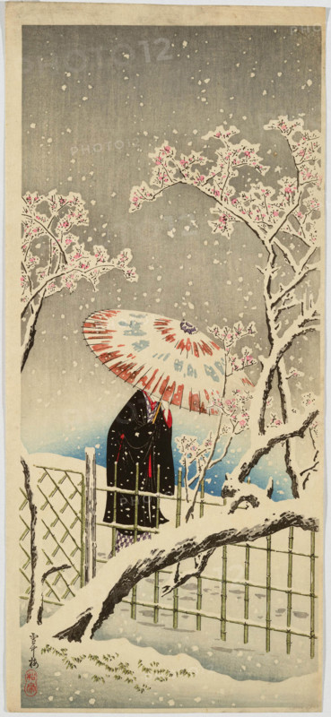 Plum Blossoms in Snow, 1910. Creator: Takahashi (Shotei), Hiroaki (1871-1945).