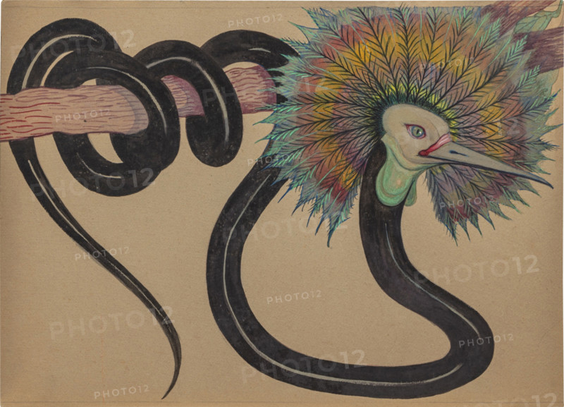 L'Oiseau-Serpent. Creator: Burnat-Provins, Marguerite (1872-1952).