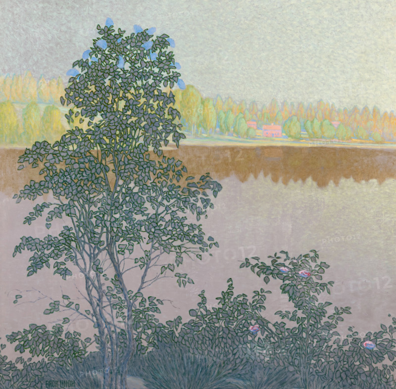 The lake. Creator: Lindh, Bror (1877-1941).