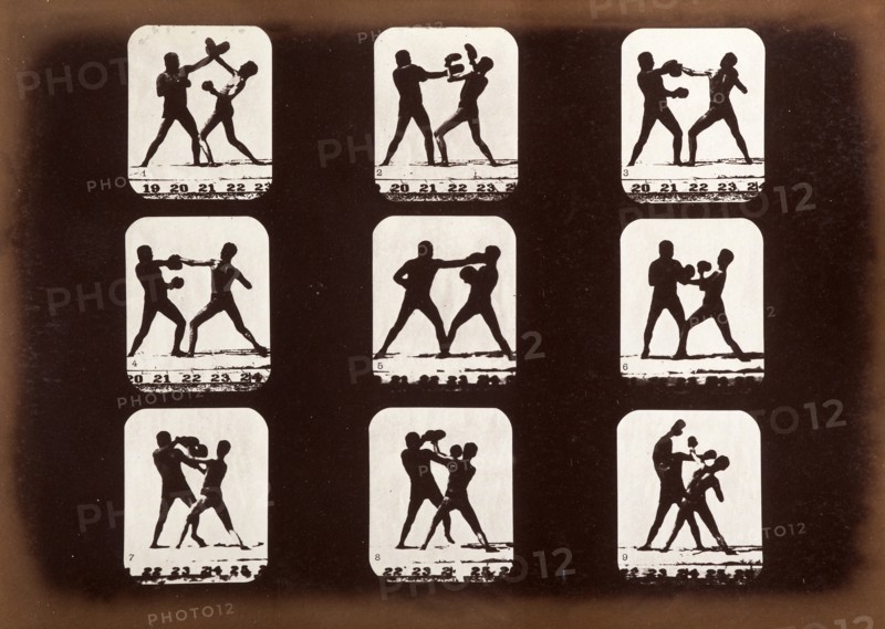 Athletes. Boxing., 1881. Creator: Eadweard J Muybridge.
