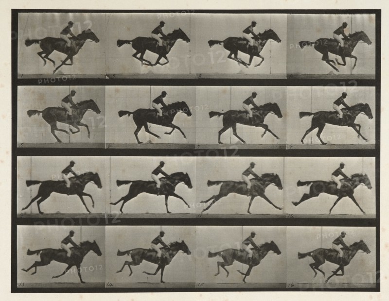 Horses. Gallop; thoroughbred bay mare (Annie G) with male rider, 1872-1885. Creator: Eadweard J Muybridge.