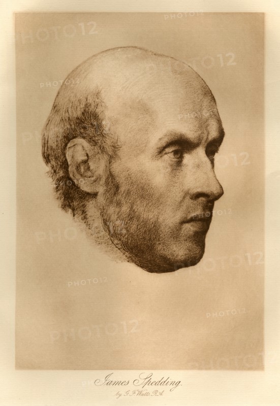 James Spedding by G. F. Watts, R.A., 1885.  Creator: Henry Herschel Hay Cameron.