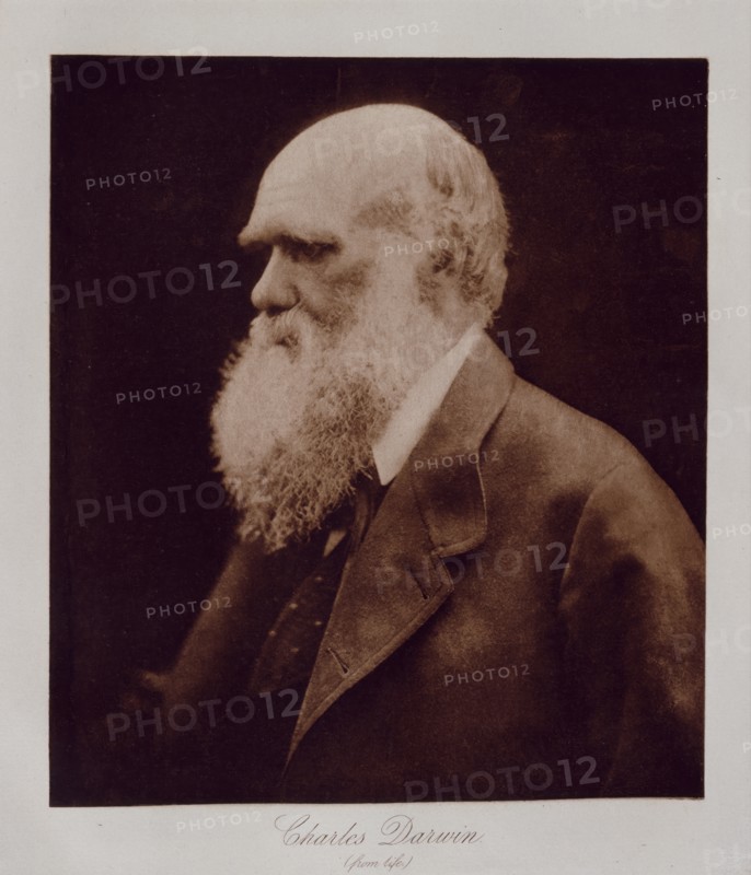 Charles Darwin (from life), 1868.  Creator: Julia Margaret Cameron.