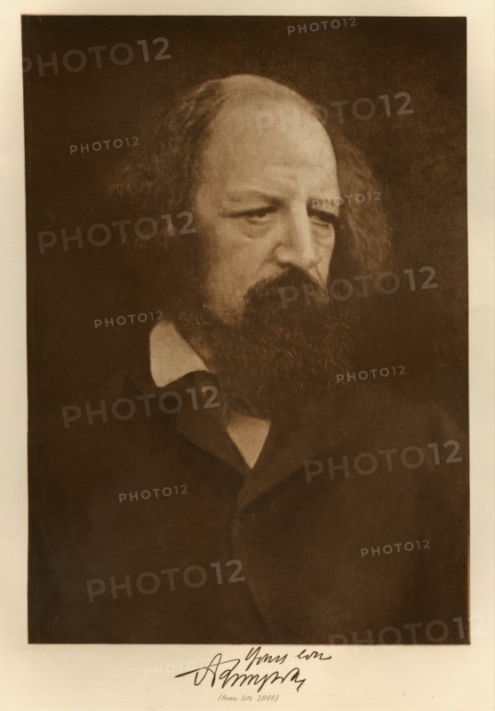 Alfred, Lord Tennyson (from life), 1866.  Creator: Julia Margaret Cameron.