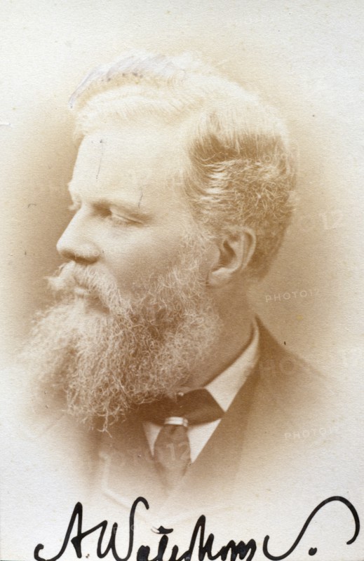 Alfred Waterhouse, R.A., c1865-1866. Creator: Elliott & Fry.