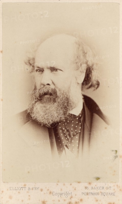 Francis William Topham, OWS, (1808-1877), after 1863. Creator: Elliott & Fry.