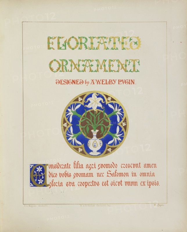 Lilies in a vase and quote from the Bible, 1849. Creator: H C Maguire.