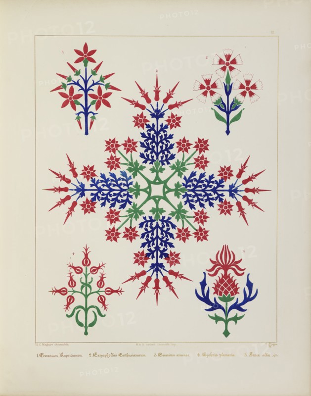 Floral designs, 1849.  Creator: H C Maguire.