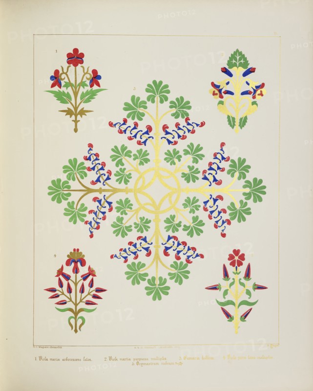 Floral designs, 1849.  Creator: H C Maguire.