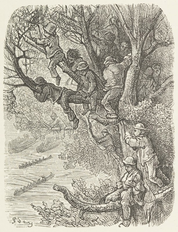 Perched in the trees, 1872.  Creator: Unknown.