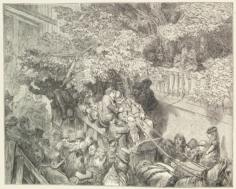 Caught in the Branches, 1872. Creator: Unknown.