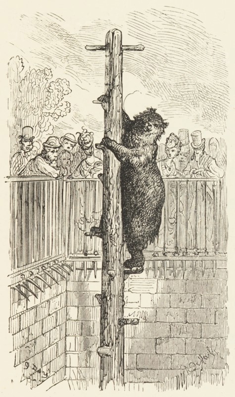 The Bear Pit - Zoological Gardens, 1872.  Creator: Alexis Jean François Alphonse Demarle.