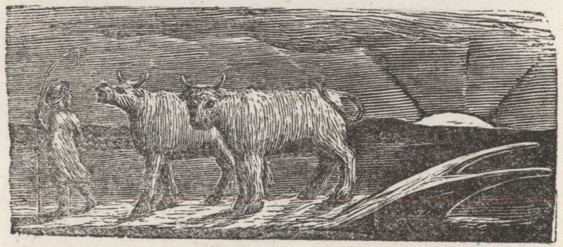 'And Unyok'd Heifers, Loitering Homeward, Low', 1821. Creator: William Blake.