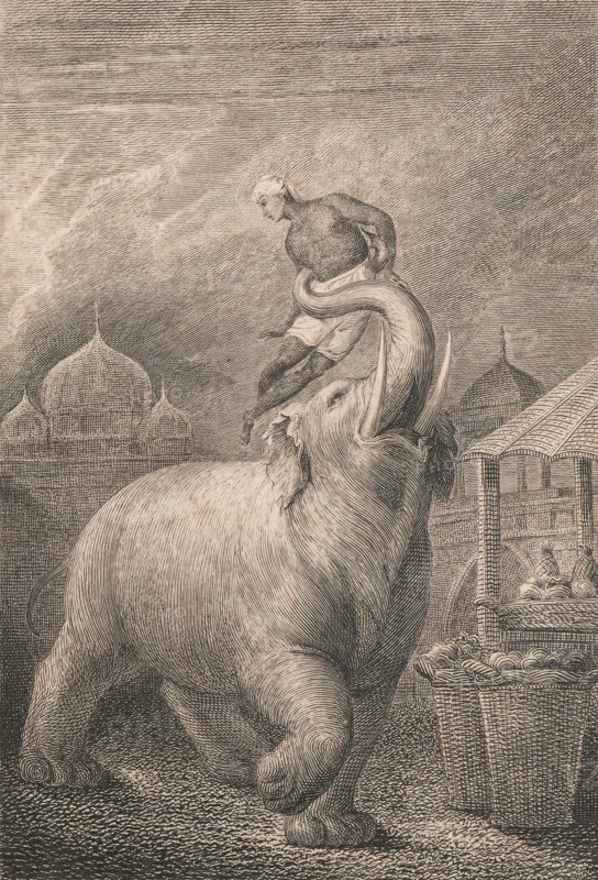 The Elephant, 1802.  Creator: William Blake.