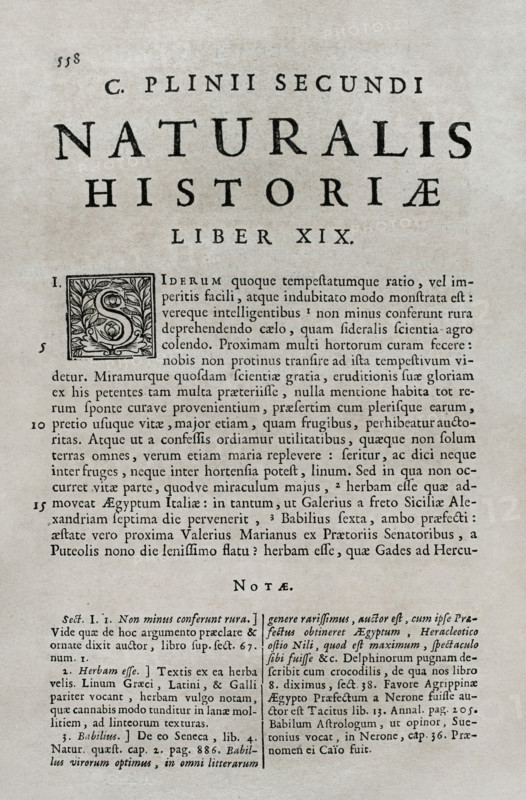 Pliny the Elder, (Gaius Plinius Secundus) (c23-79), Roman politician, historian and naturalist,1686. Creator: Pliny the Elder.