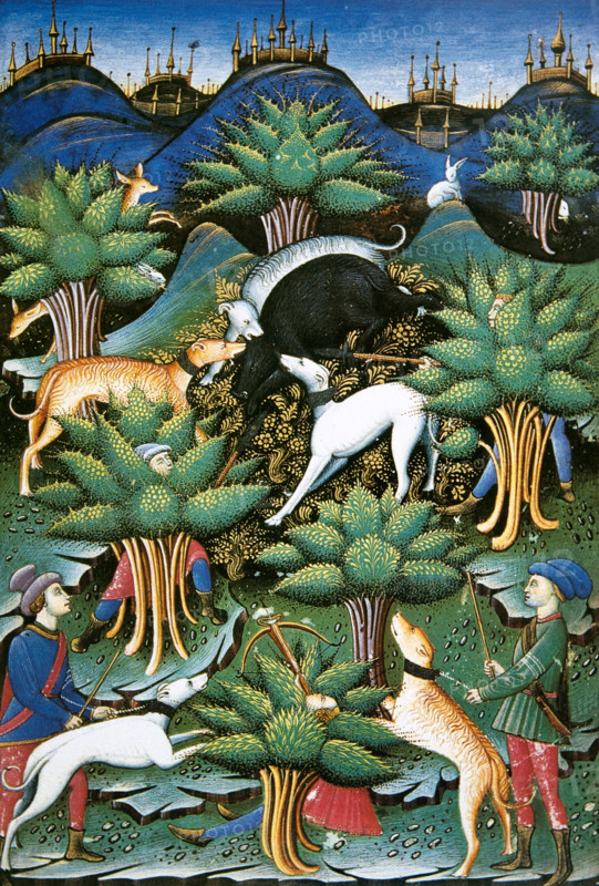 Wild boar hunting, miniature of a treatise on falconry and hunting, 1459.  Creator: Unknown.