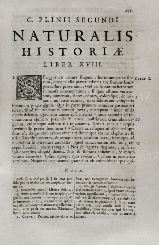 Pliny the Elder (Gaius Plinius Secundus) (c 23-79), Roman politician, historian and naturalist, 1686 Creator: Pliny the Elder.
