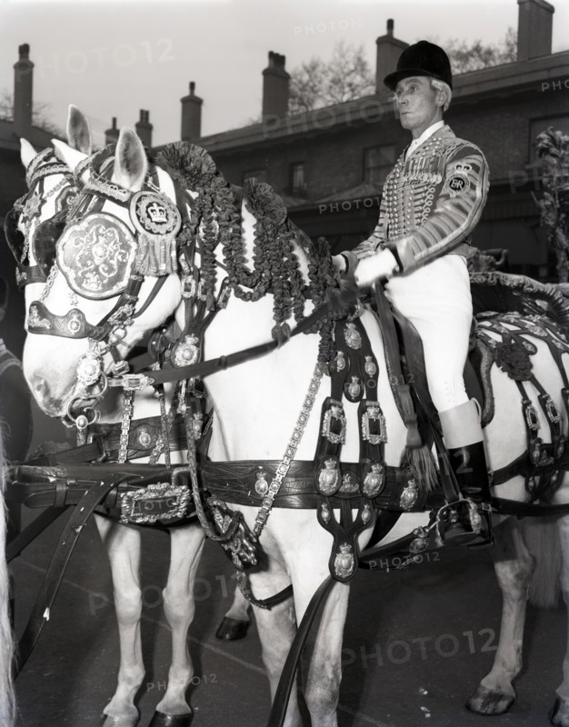 Royal postilion on a grey horse at the Royal Mews in London, c1953. Creator: Arthur Charles Kirby Ware.