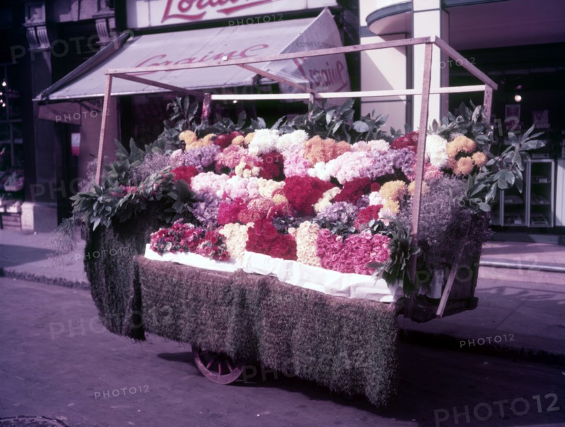 Flower stall, London, c1955. Creator: Arthur Charles Kirby Ware.